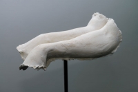 https://annazvyagintseva.com:443/ua/files/gimgs/th-48_web5.jpg